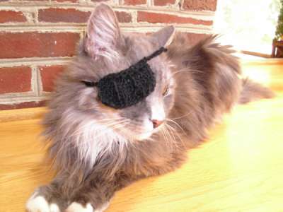 Kitty with an eye patch