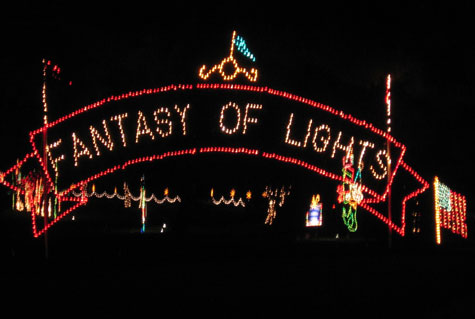 Entering the World of Holiday Light