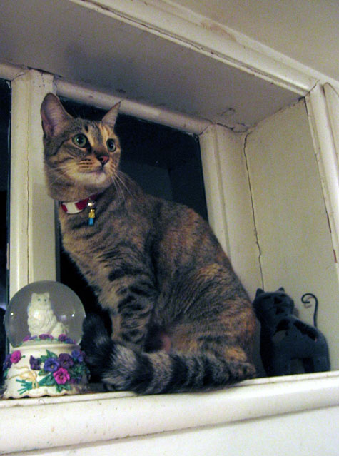 Penny surveys her new home
