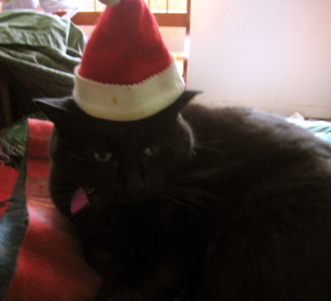 Bah humbug