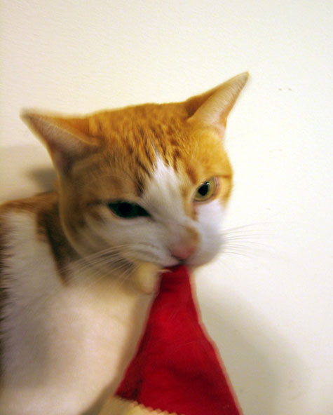 Bah humbug