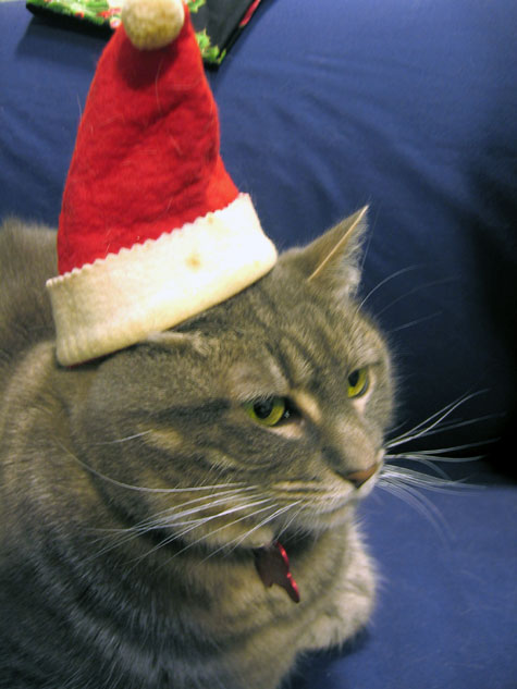 Bah humbug