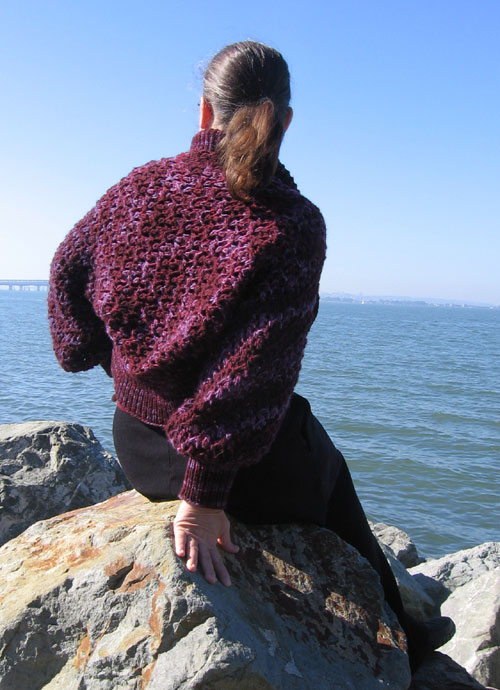 The purply shrug by the sea