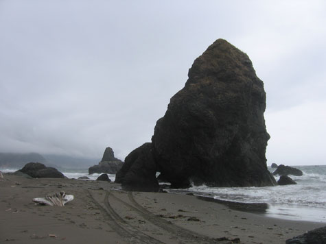 The foggy, rocky beach at Port Orford