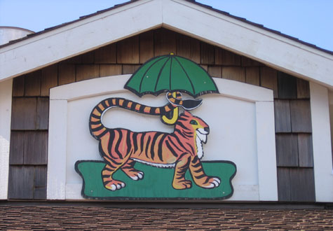 The tiger sports a parasol