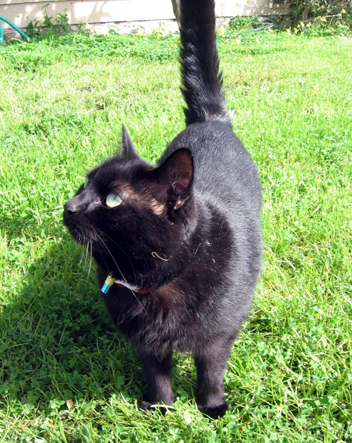 Assistant at the photo shoot